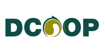 Logo Item
