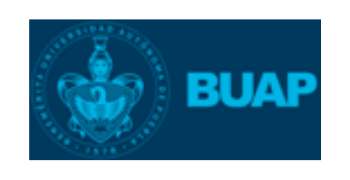Logo Item