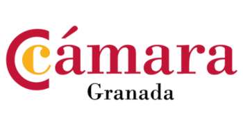 Logo Item